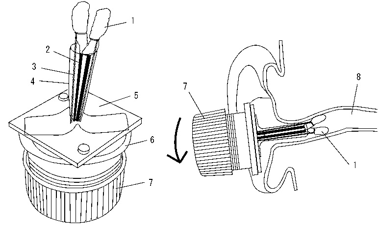 耳穴から脳波を測る